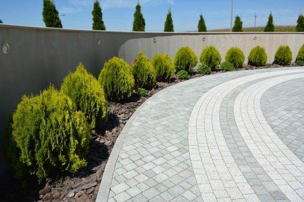 Best Professional Driveway Pavers  in Roseville, CA